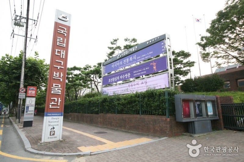 Daegu National Museum  (7/7)