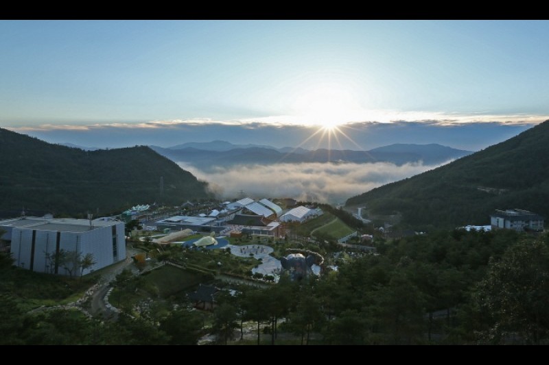 Sancheong Medicinal Herb Festival  (2/2)