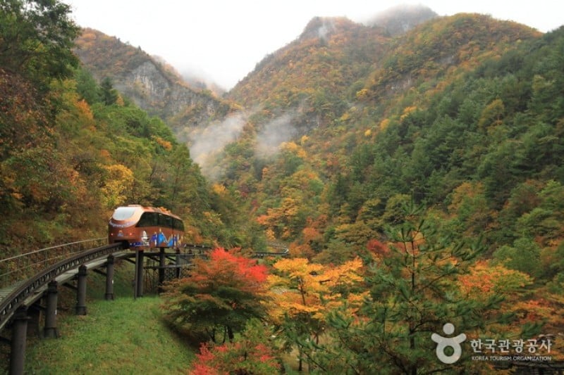 Daegeumgul Cave  (13/14)