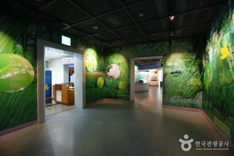 Daecheong Dam Water Culture Center  (8/19)