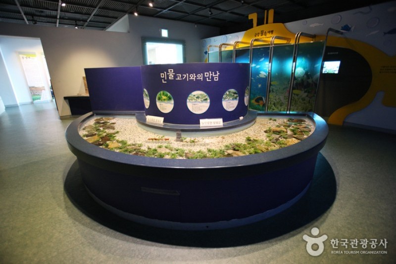 Daecheong Dam Water Culture Center  (9/19)