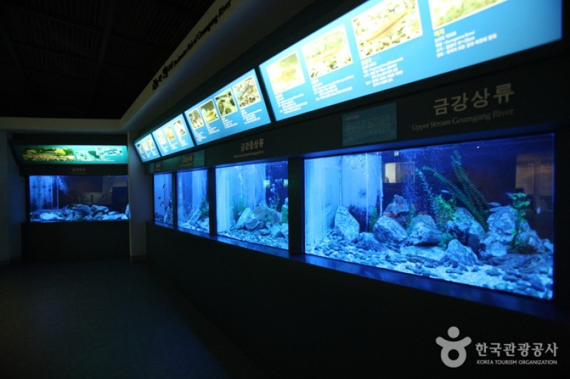 Daecheong Dam Water Culture Center  (10/19)