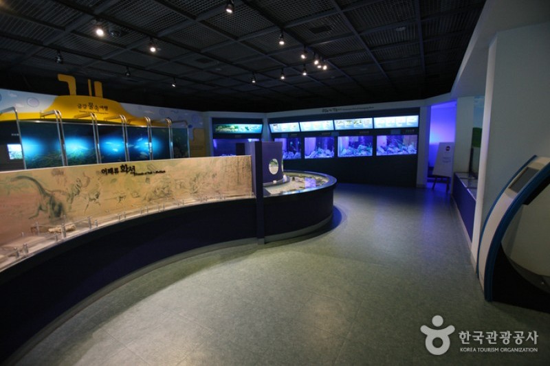Daecheong Dam Water Culture Center  (11/19)