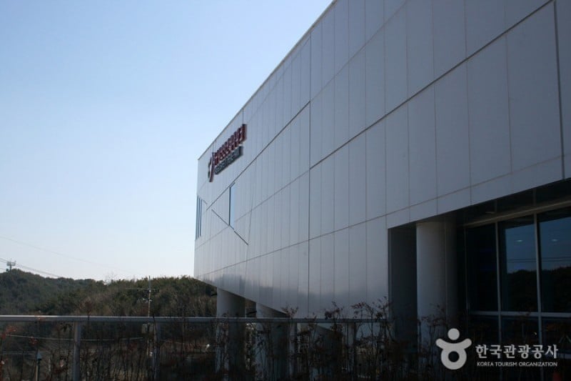 Daegu Safety Theme Park  (2/13)