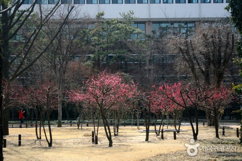 Gukchaebosang Memorial Park  (2/18)