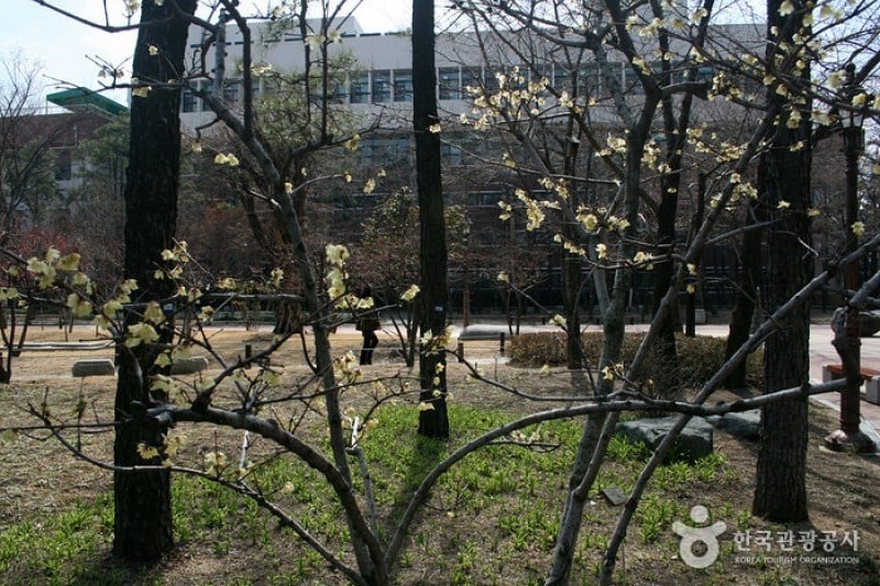 Gukchaebosang Memorial Park  (3/18)