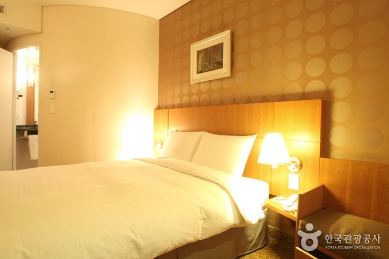 Ibis Ambassador Suwon  (13/19)