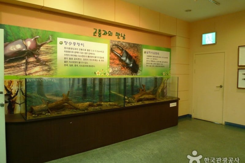 Daecheongho Natural Ecology Center  (1/21)
