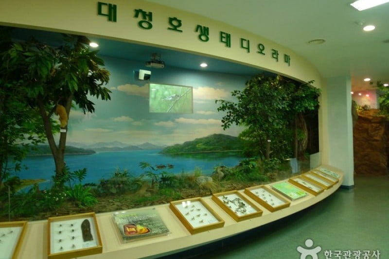 Daecheongho Natural Ecology Center  (2/21)