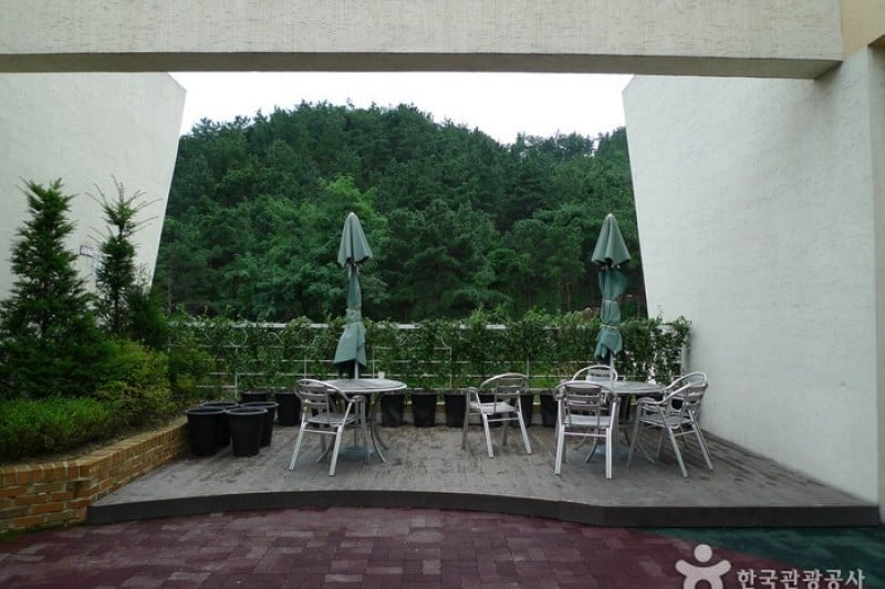 Daecheongho Natural Ecology Center  (5/21)