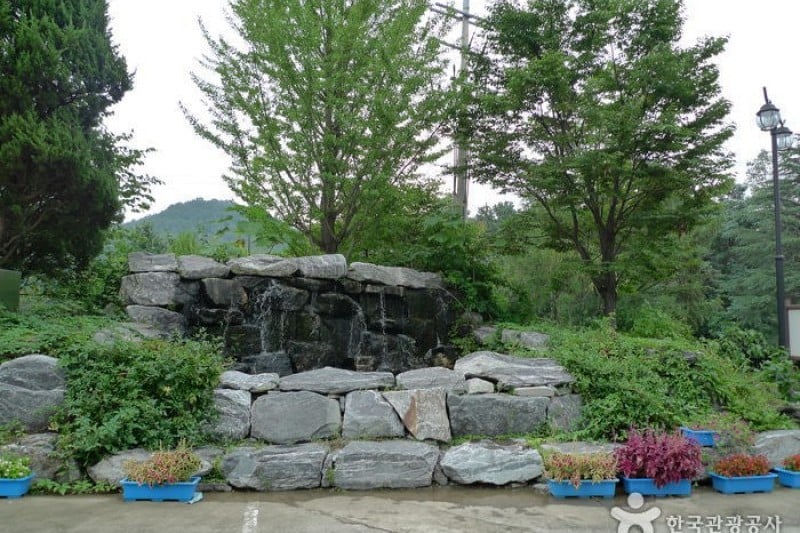 Daecheongho Natural Ecology Center  (7/21)