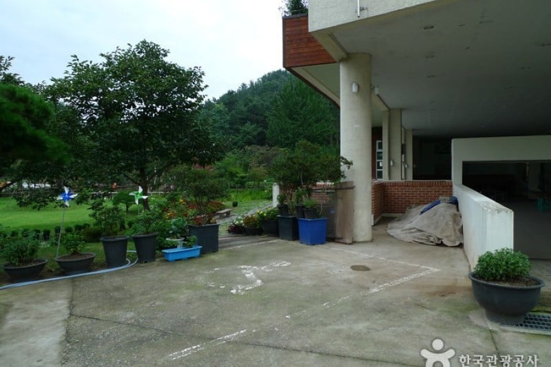 Daecheongho Natural Ecology Center  (8/21)