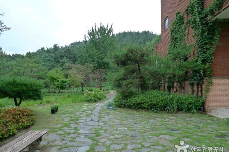 Daecheongho Natural Ecology Center  (9/21)