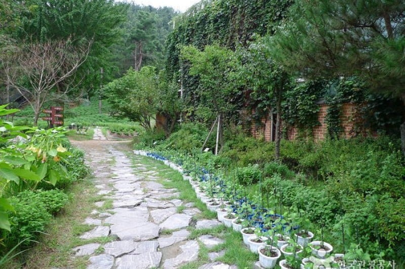 Daecheongho Natural Ecology Center  (11/21)