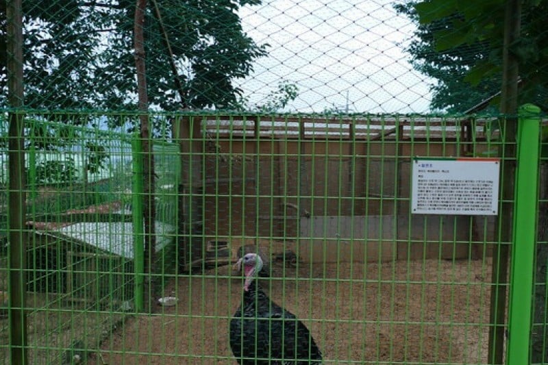Daecheongho Natural Ecology Center  (13/21)