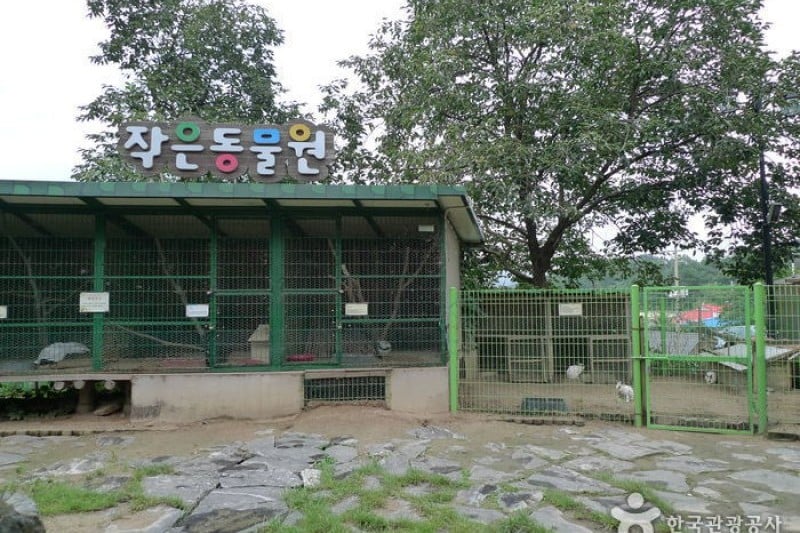 Daecheongho Natural Ecology Center  (14/21)
