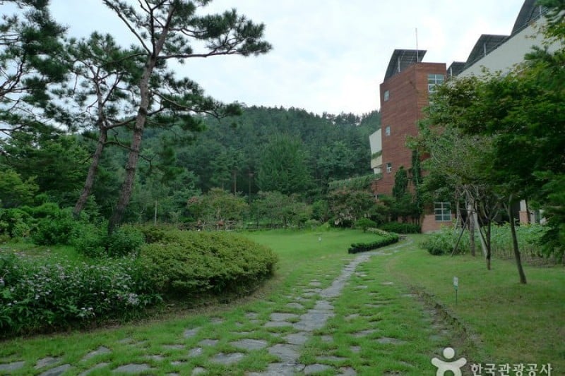 Daecheongho Natural Ecology Center  (15/21)