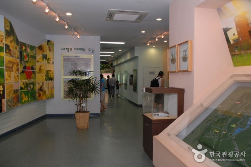 Daecheongho Natural Ecology Center  (18/21)