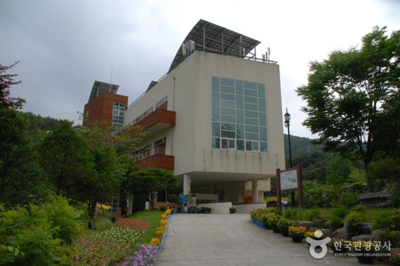 Daecheongho Natural Ecology Center  (19/21)