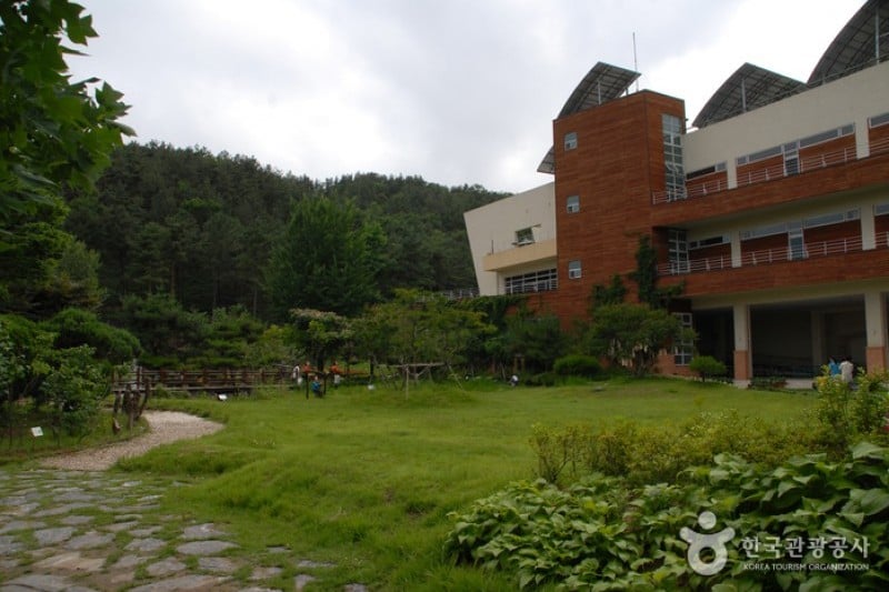 Daecheongho Natural Ecology Center  (21/21)