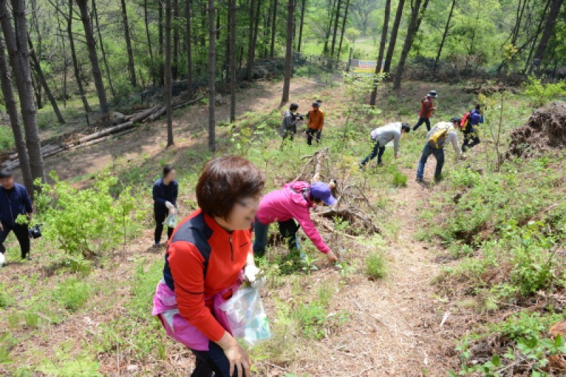 Yongmunsan Wild Herbs and Vegetables Festival  (2/2)