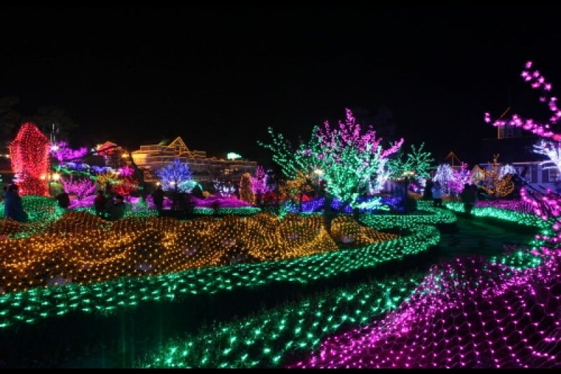 Herb Island Light Festival - Lighting &amp; Illumination (허브아일랜드 불빛동화축제 - 라이팅&amp;일루미네이션) (5/20)