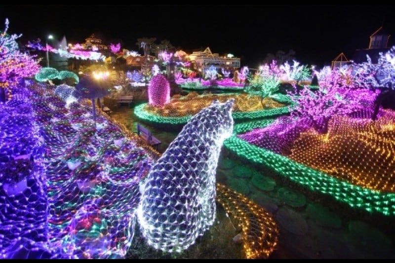 Herb Island Light Festival - Lighting &amp; Illumination (허브아일랜드 불빛동화축제 - 라이팅&amp;일루미네이션) (6/20)