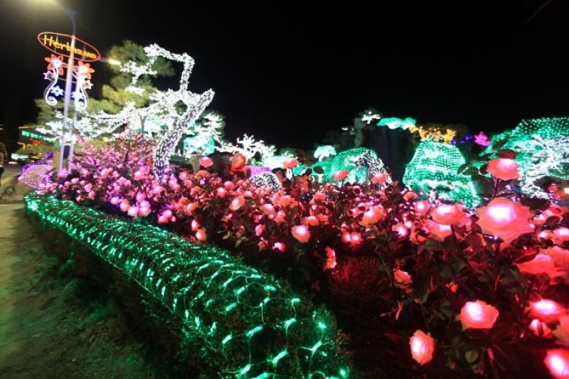 Herb Island Light Festival - Lighting &amp; Illumination (허브아일랜드 불빛동화축제 - 라이팅&amp;일루미네이션) (8/20)
