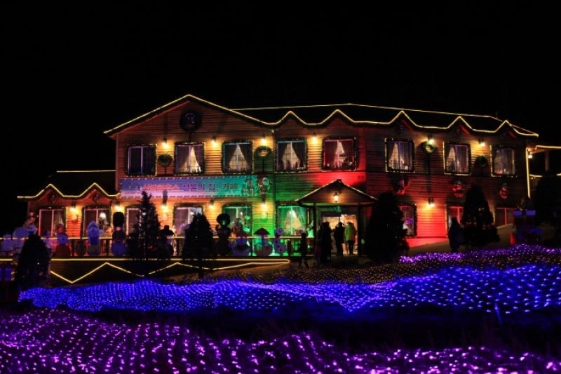 Herb Island Light Festival - Lighting &amp; Illumination (허브아일랜드 불빛동화축제 - 라이팅&amp;일루미네이션) (9/20)