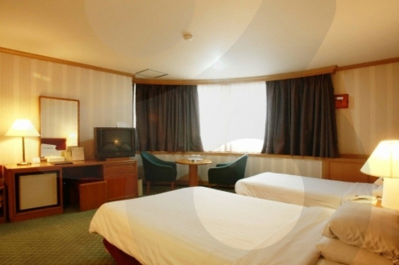 Hotel Green World  (13/15)