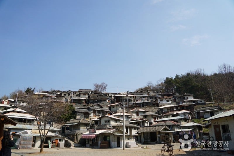 Suncheon Open Film Location  (13/14)