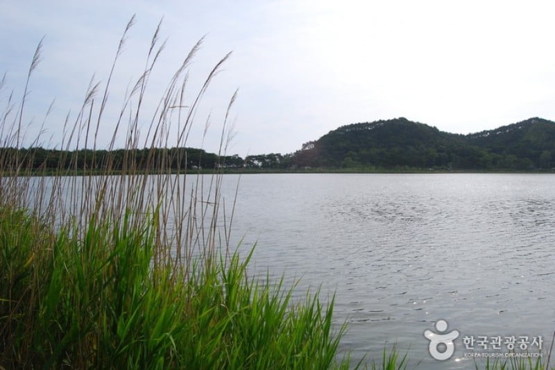 Hwajinpo Lake  (12/14)