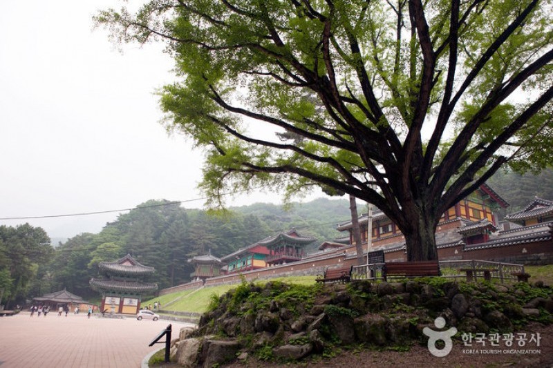 Guryongsa Temple  (27/27)