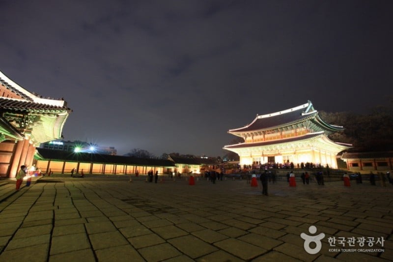 Moonlight Tour at Changdeokgung Palace  (9/9)