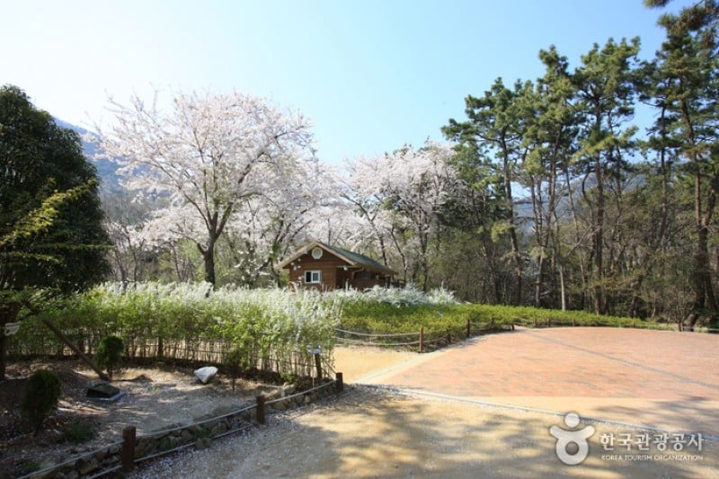 Jinhae NFRDI Environment Eco-Park  (2/19)