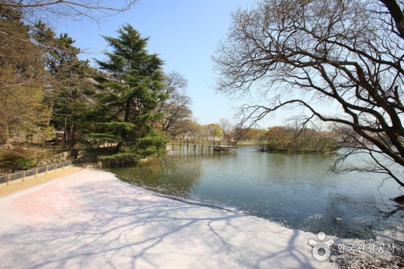 Jinhae NFRDI Environment Eco-Park  (3/19)