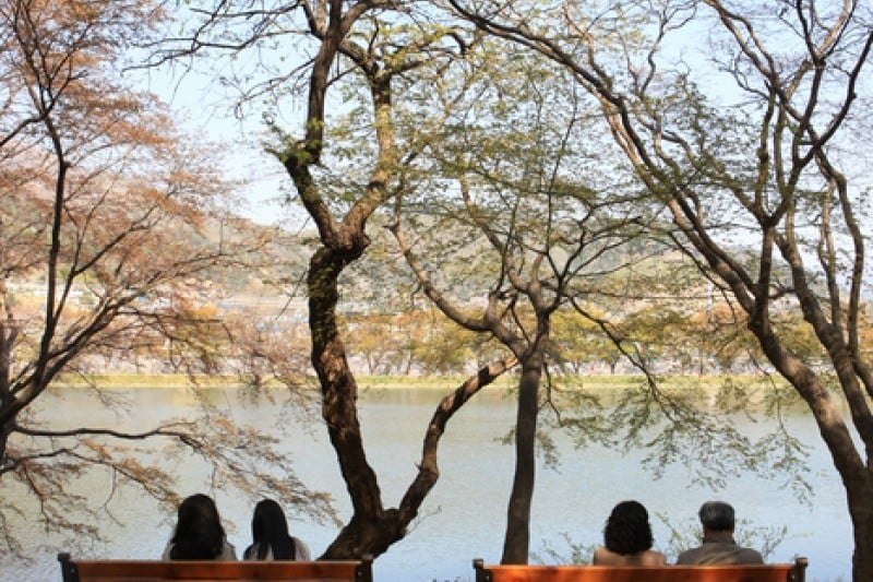 Jinhae NFRDI Environment Eco-Park  (5/19)