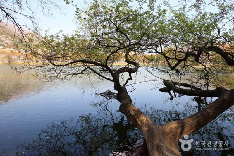 Jinhae NFRDI Environment Eco-Park  (6/19)