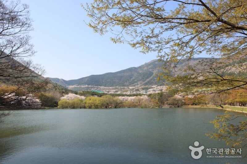 Jinhae NFRDI Environment Eco-Park  (7/19)