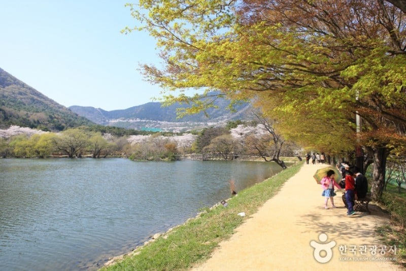 Jinhae NFRDI Environment Eco-Park  (9/19)