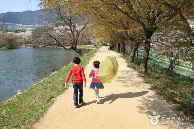 Jinhae NFRDI Environment Eco-Park  (10/19)