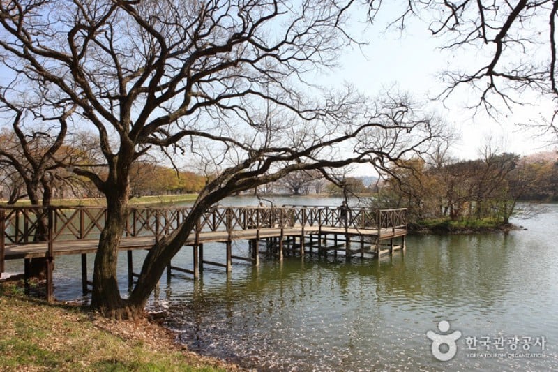 Jinhae NFRDI Environment Eco-Park  (11/19)