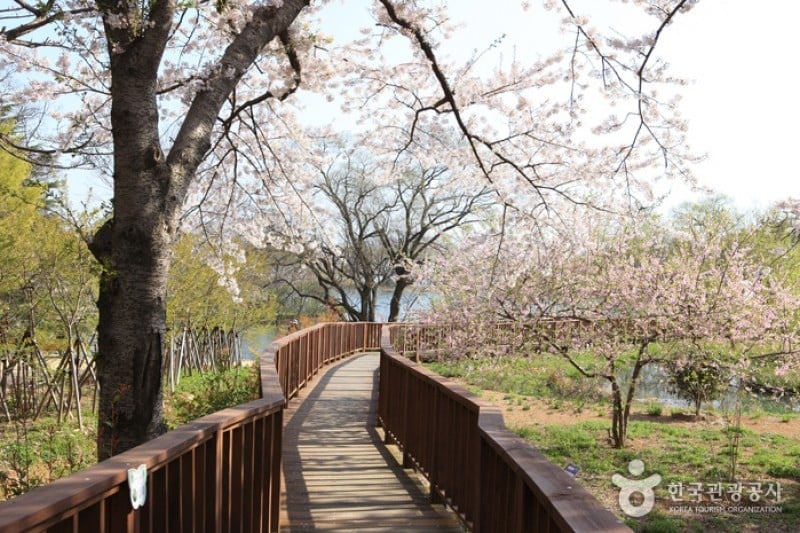 Jinhae NFRDI Environment Eco-Park  (12/19)