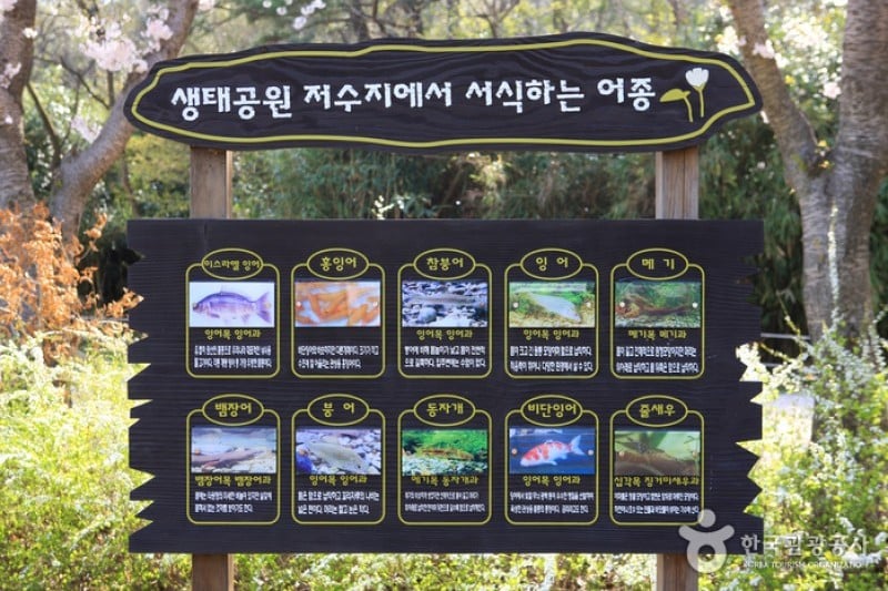 Jinhae NFRDI Environment Eco-Park  (13/19)