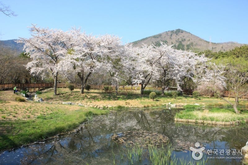 Jinhae NFRDI Environment Eco-Park  (15/19)