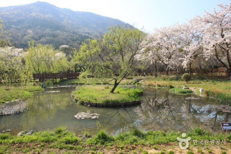 Jinhae NFRDI Environment Eco-Park  (16/19)