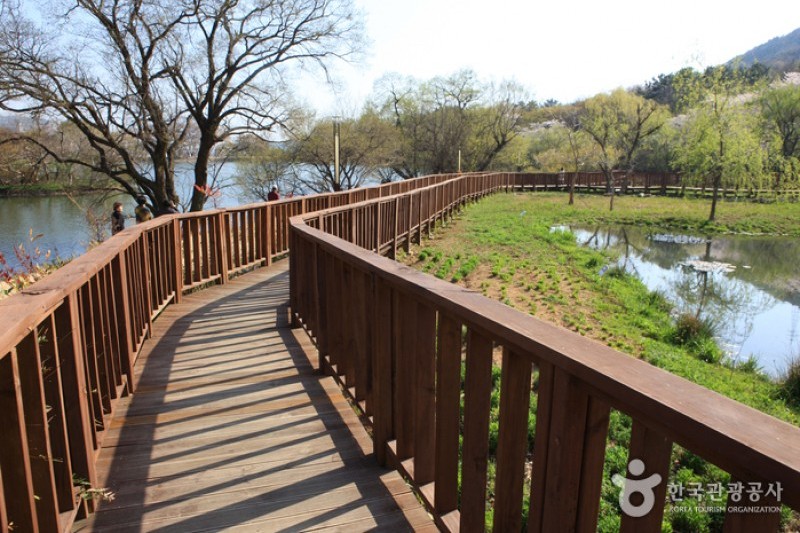 Jinhae NFRDI Environment Eco-Park  (18/19)