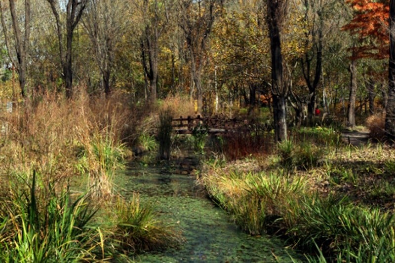 Daegu Arboretum  (1/4)