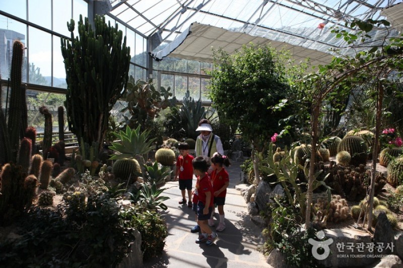 Daegu Arboretum  (2/4)