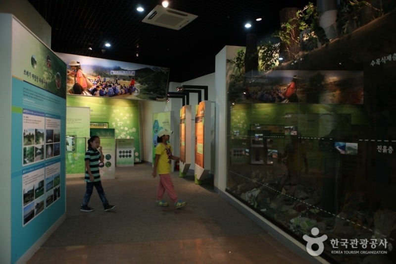 Daegu Arboretum  (3/4)